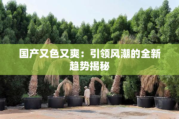 国产又色又爽：引领风潮的全新趋势揭秘