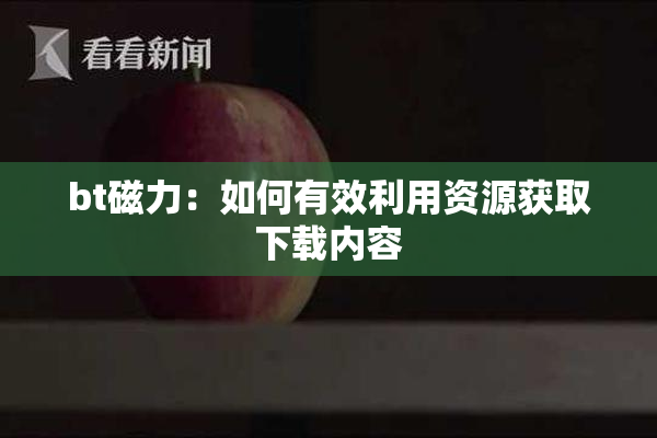 bt磁力：如何有效利用资源获取下载内容