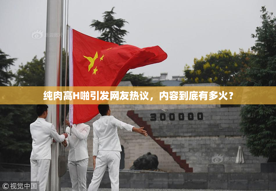 纯肉高H啪引发网友热议，内容到底有多火？