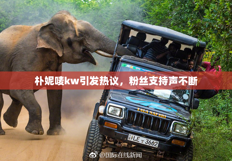 朴妮唛kw引发热议，粉丝支持声不断