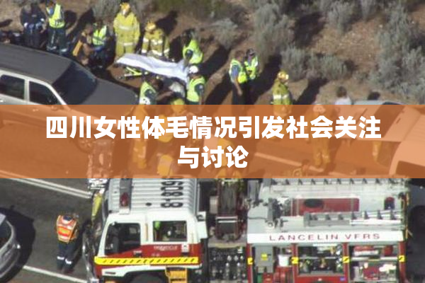 四川女性体毛情况引发社会关注与讨论