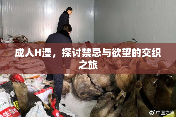 成人H漫，探讨禁忌与欲望的交织之旅