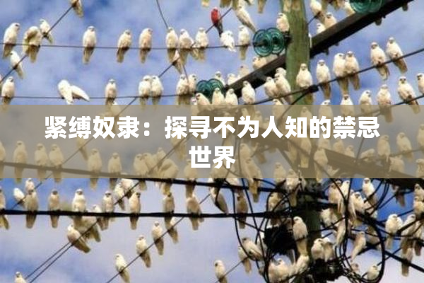 紧缚奴隶：探寻不为人知的禁忌世界