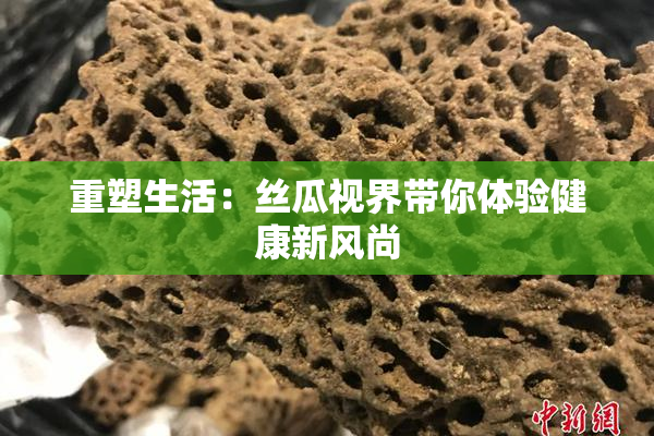重塑生活：丝瓜视界带你体验健康新风尚