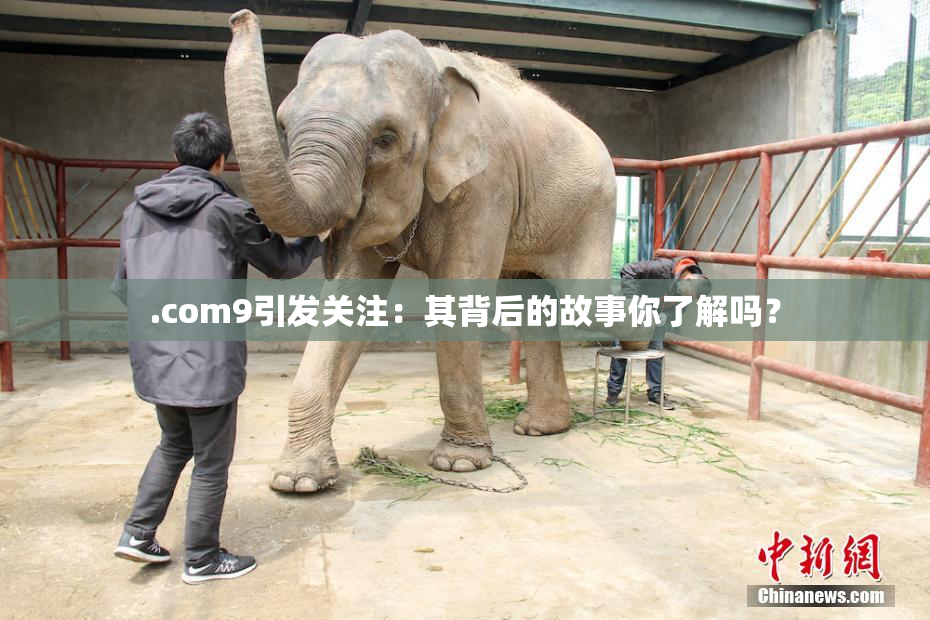 .com9引发关注：其背后的故事你了解吗？