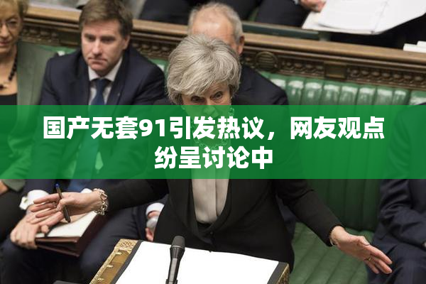 国产无套91引发热议，网友观点纷呈讨论中