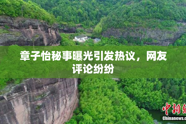 章子怡秘事曝光引发热议，网友评论纷纷