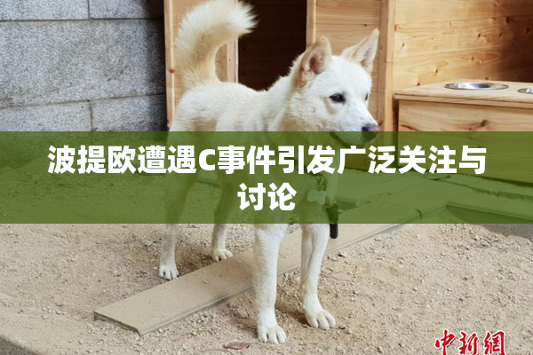 波提欧遭遇C事件引发广泛关注与讨论