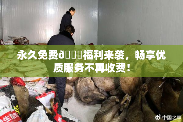 永久免费🔞福利来袭，畅享优质服务不再收费！