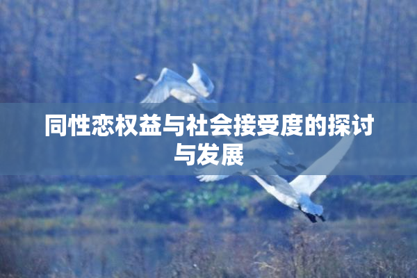 同性恋权益与社会接受度的探讨与发展