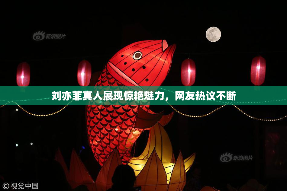 刘亦菲真人展现惊艳魅力，网友热议不断
