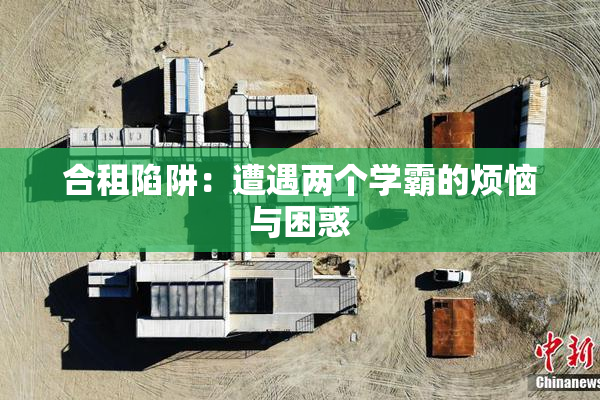 合租陷阱：遭遇两个学霸的烦恼与困惑