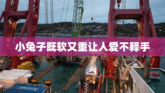 小兔子既软又重让人爱不释手
