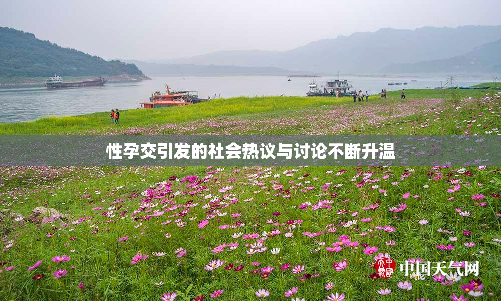 性孕交引发的社会热议与讨论不断升温
