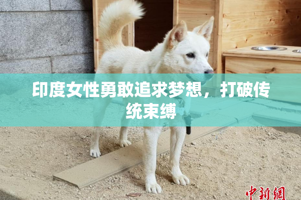 印度女性勇敢追求梦想，打破传统束缚