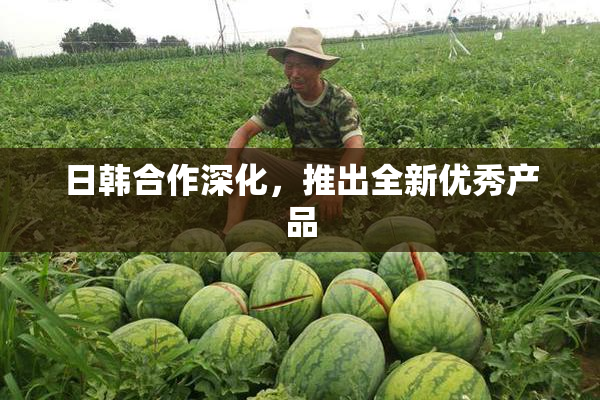 日韩合作深化，推出全新优秀产品
