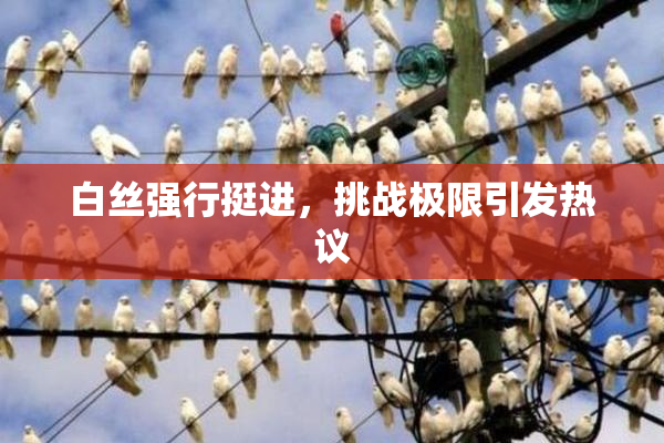 白丝强行挺进，挑战极限引发热议