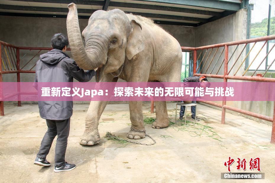 重新定义Japa：探索未来的无限可能与挑战