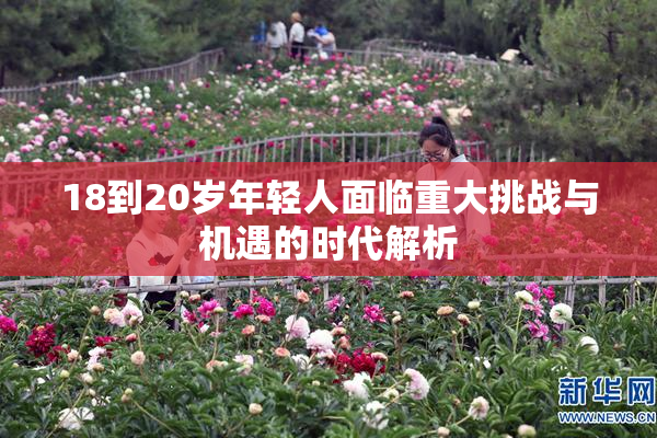 18到20岁年轻人面临重大挑战与机遇的时代解析