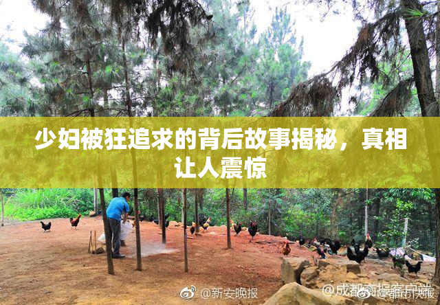少妇被狂追求的背后故事揭秘，真相让人震惊
