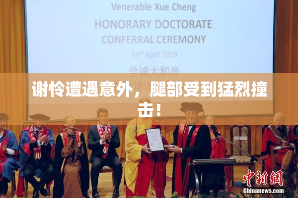 谢怜遭遇意外，腿部受到猛烈撞击！