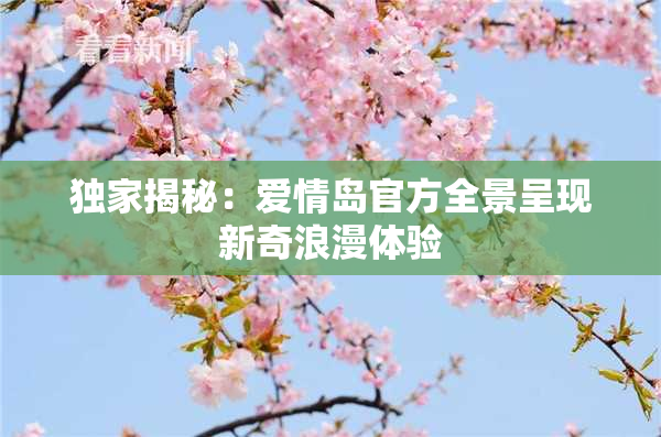 独家揭秘：爱情岛官方全景呈现新奇浪漫体验
