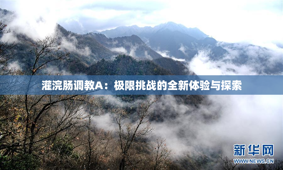 灌浣肠调教A：极限挑战的全新体验与探索