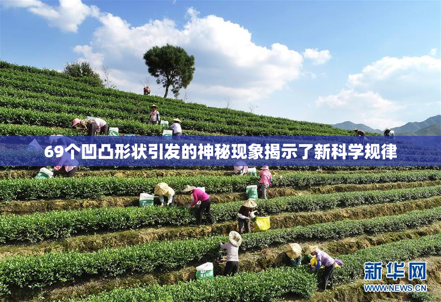 69个凹凸形状引发的神秘现象揭示了新科学规律