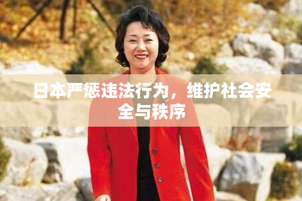 日本严惩违法行为，维护社会安全与秩序