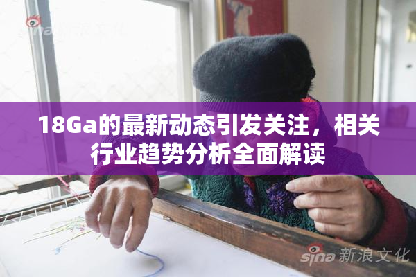 18Ga的最新动态引发关注，相关行业趋势分析全面解读