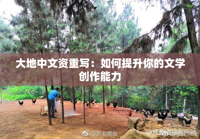 大地中文资重写：如何提升你的文学创作能力