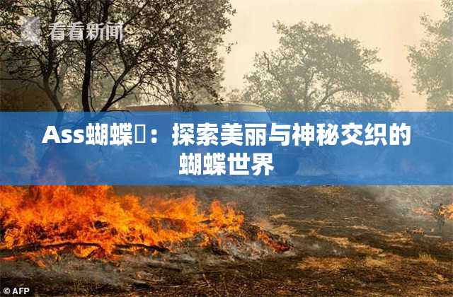 Ass蝴蝶泬：探索美丽与神秘交织的蝴蝶世界