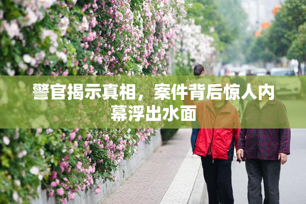 警官揭示真相，案件背后惊人内幕浮出水面