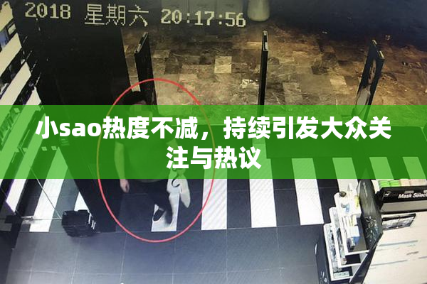 小sao热度不减，持续引发大众关注与热议