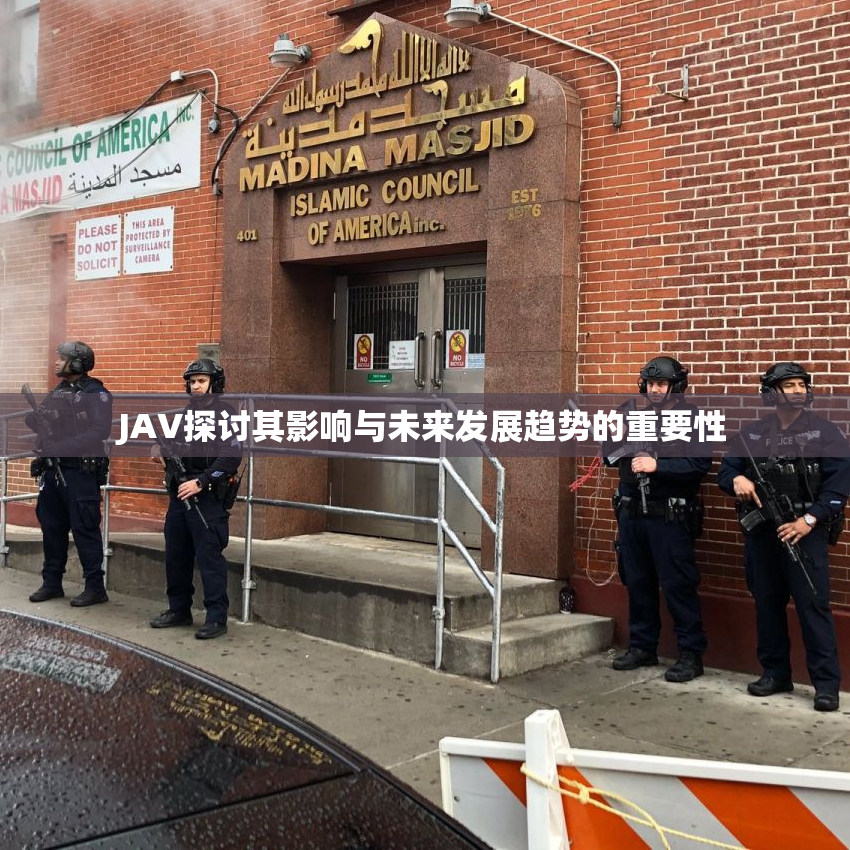 JAV探讨其影响与未来发展趋势的重要性