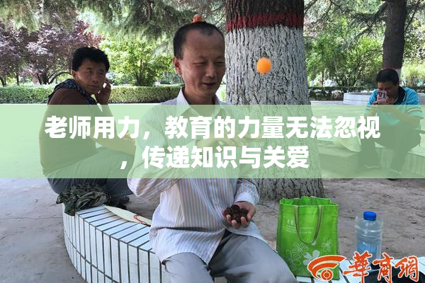 老师用力，教育的力量无法忽视，传递知识与关爱