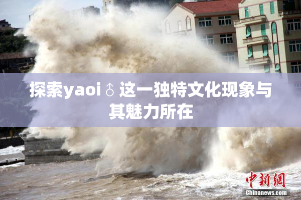 探索yaoi♂这一独特文化现象与其魅力所在