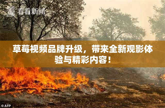 草莓视频品牌升级，带来全新观影体验与精彩内容！