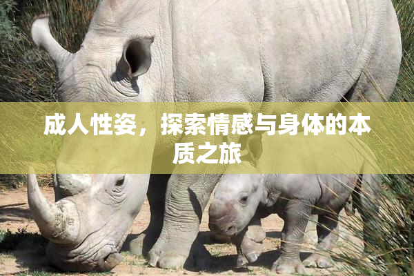 成人性姿，探索情感与身体的本质之旅
