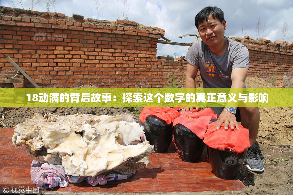 18动满的背后故事：探索这个数字的真正意义与影响