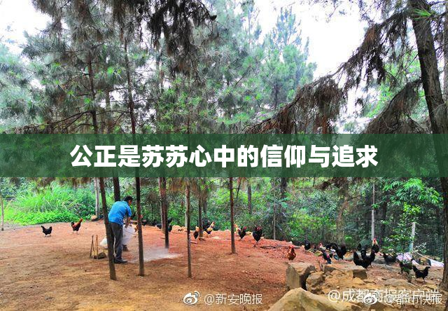 公正是苏苏心中的信仰与追求