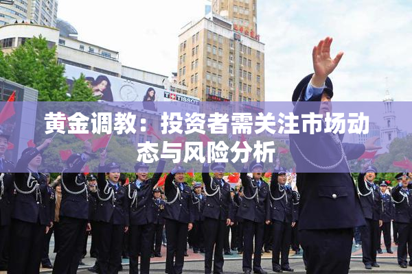 黄金调教：投资者需关注市场动态与风险分析