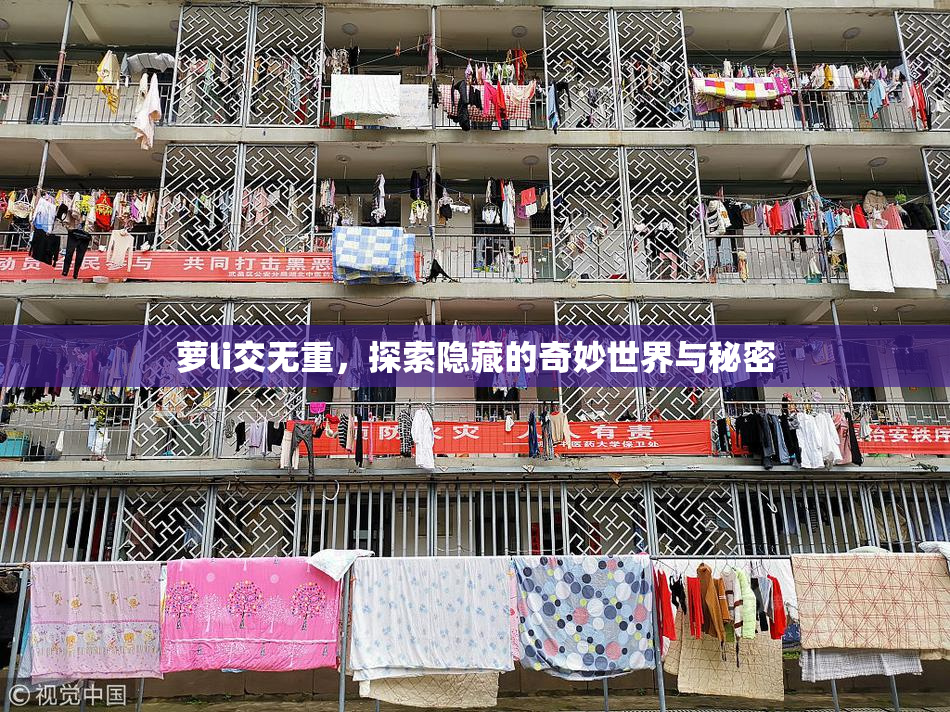 萝li交无重，探索隐藏的奇妙世界与秘密