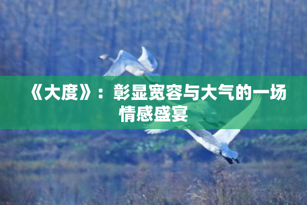 《大度》：彰显宽容与大气的一场情感盛宴