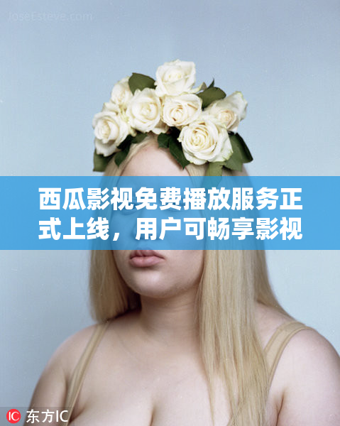 西瓜影视免费播放服务正式上线，用户可畅享影视内容