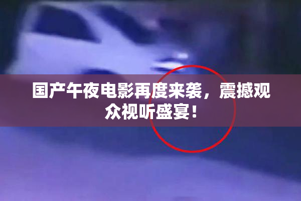 国产午夜电影再度来袭，震撼观众视听盛宴！