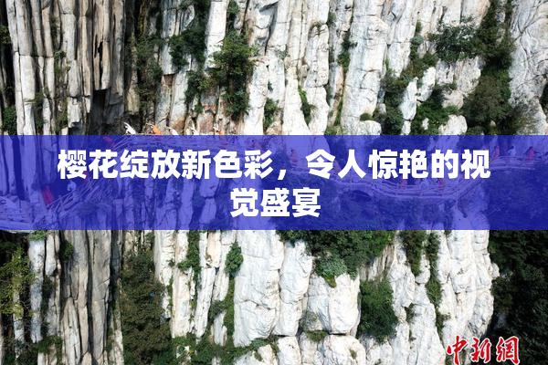 樱花绽放新色彩，令人惊艳的视觉盛宴