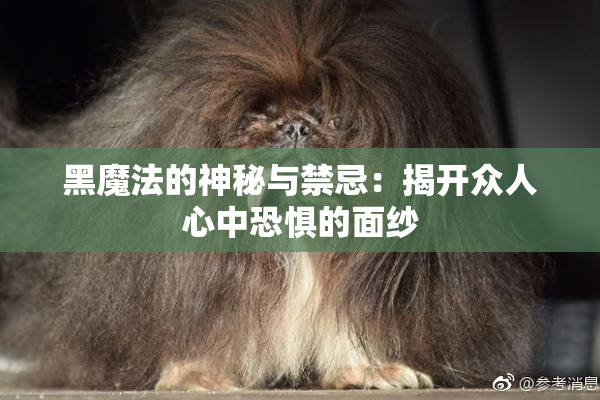 黑魔法的神秘与禁忌：揭开众人心中恐惧的面纱