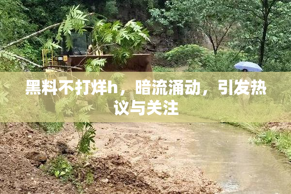 黑料不打烊h，暗流涌动，引发热议与关注