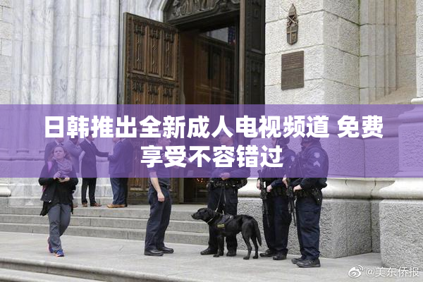 日韩推出全新成人电视频道 免费享受不容错过